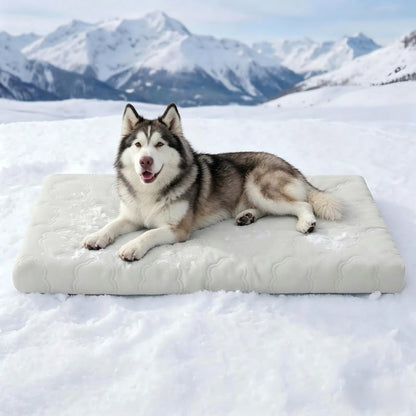 Instant Cooling Pet Mat