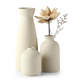 Ceramic Vase Set of 3 Decorative Pieces