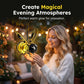 Solar Bee Garden Decorative Light