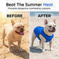 Cooling Dog Vest