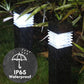 Solar-Powered De-Icing Light