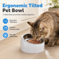 Cartoon Cat Shaped Stainless Steel Pet Bowl Dual Use Food and Water Feeder for Cats and Small Dogs