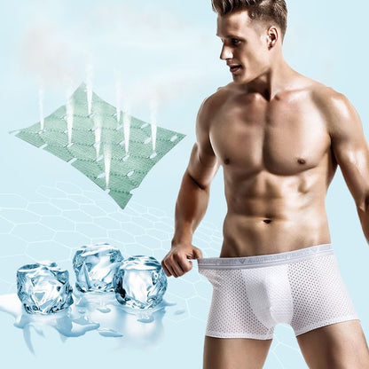 Men’s Mesh Ice Silk Underwear