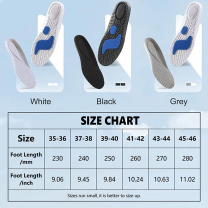 High Elastic Shock-absorbing Sweat-absorbing Sports Insoles