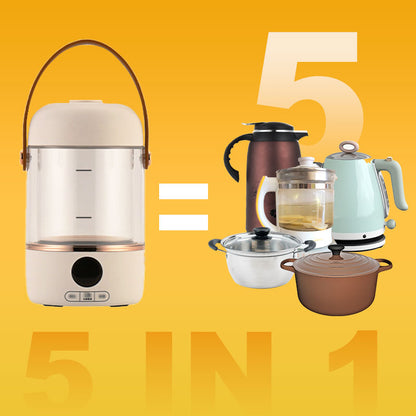 5 in 1 Multifunctional Electric Cooker