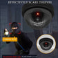 Simulation camera with lights Indoor Outdoor