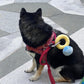 Love Ring Case Stuffed Plush Toy