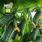 Pousbo® Soil Loosening Essence Soil Activator