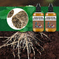 Strong rooting nutrient solution