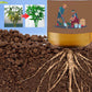 Strong rooting nutrient solution