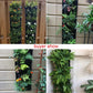 Garden Wall Planter Grow Bags for Indoor Outdoor