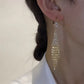 [ideal gift] Rhinestone Tassel Earrings