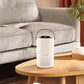 Practical Gifts - Negative Ion Air Purifier