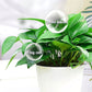 Universal Nutrient Solution for Plants